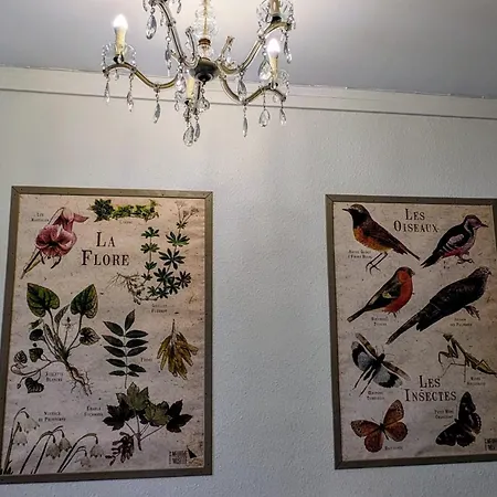 Lejlighed Maison Des Chanoines